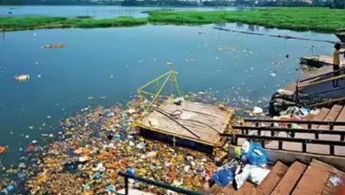 સ્યુએજ ટ્રીટમેન્ટ પ્લાન્ટમાં નીકળનારા કાદવ પર પ્રકિયા કરીને તેના વેચાણથી બીએમસી કમાશે