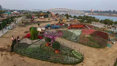 શનિવારથી અમદાવાદ રિવરફ્રન્ટ પર કરી શકાશે પક્ષીદર્શન