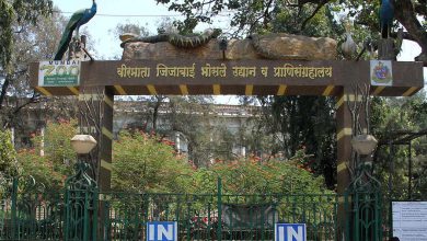 ભાયખલાના પ્રાણીબાગમાં છેલ્લા છ વર્ષમાં ૨૭૫ પ્રાણીનો મૃત્યુ