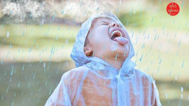 શું વરસાદનું પાણી સીધું પી શકાય? 99 ટકા લોકોને નથી ખબર...