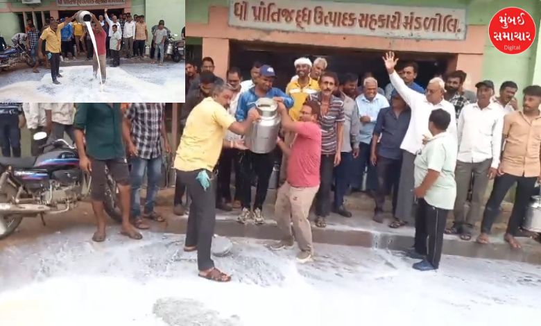 Cattle farmers protest fiercely against Sabar Dairy in Prantij! They poured milk and took the chairman's pen.