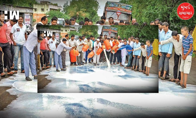 Cattle farmers protest fiercely against Sabar Dairy in Prantij! They poured milk and took the chairman's pen.