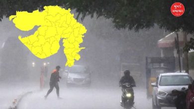 ગુજરાતના મોટા ભાગના વિસ્તારોમાં આજે હળવાથી મધ્યમ વરસાદની શક્યતા