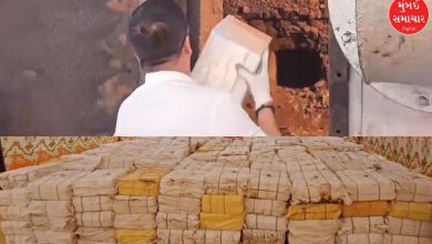 Drug-free Gujarat: Drugs worth Rs 875 crore destroyed in Kutch