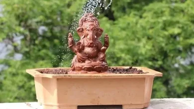 Eco-friendly Ganesh festival