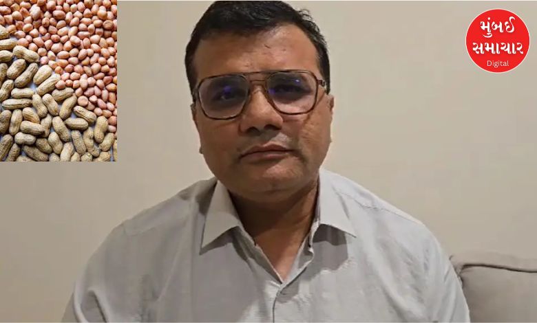 Former MLA from Savarkundla Pratap Dudhat demanded that groundnuts should also be included in the relief package.