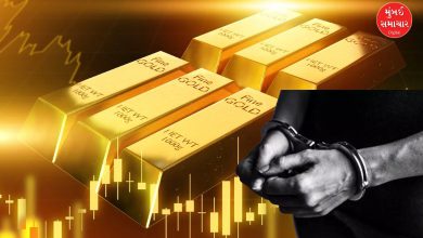 Gold smuggling ladder