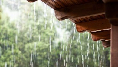 હવામાન વિભાગે ગુજરાતમાં ભારે પવન સાથે વરસાદની આગાહી કરી, ઉત્તર ગુજરાતમાં બેટિંગ શરૂ