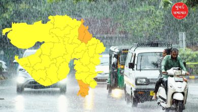 ગુજરાતના 47 તાલુકામાં મેઘમહેર: વલસાડમાં 1.85 ઇંચ ખાબક્યો! રાજ્યમાં સરેરાશ 34.36% વરસાદ