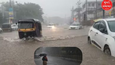 Gujarat receives 53.39% of the season's average rainfall: Clouds in Kutch and South Gujarat, more than 40 inches of rainfall recorded in 18 talukas