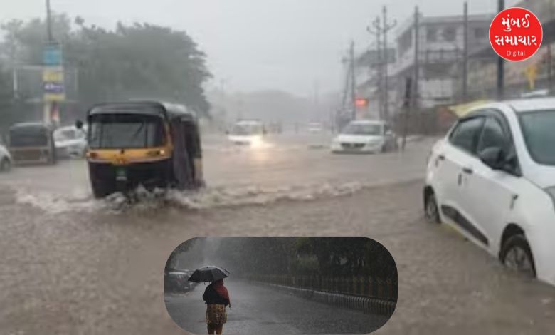 Gujarat receives 53.39% of the season's average rainfall: Clouds in Kutch and South Gujarat, more than 40 inches of rainfall recorded in 18 talukas