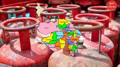 Gujarat's dominance in PNG connection