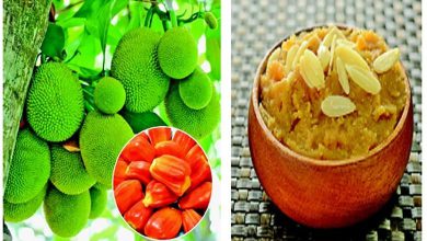 Health Benefits: Jackfruit is the heaviest fruit rich in nutritional values