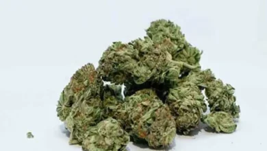 Hydro marijuana contamination