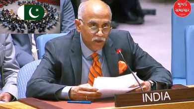 India slams Pakistan on terrorism issue at UNSC meeting