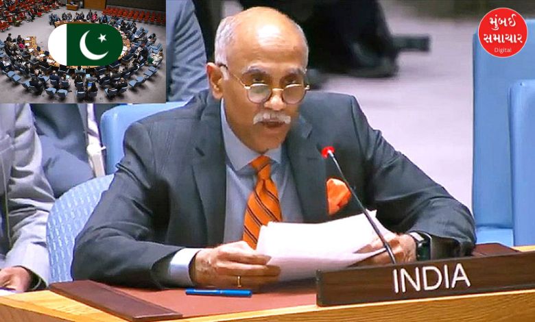 India slams Pakistan on terrorism issue at UNSC meeting
