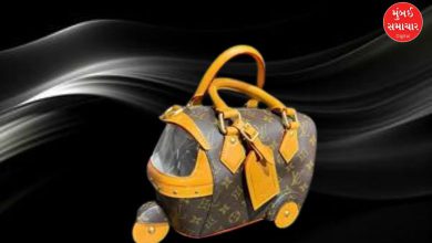 International brand autorickshaw bag goes viral