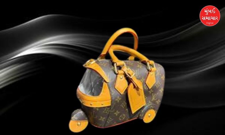 International brand autorickshaw bag goes viral