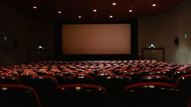 કર્ણાટકમાં સિનેમા ટિકિટ માટે 200 રૂપિયાની મર્યાદા નક્કી થઈ, બીજા રાજ્યો કોની રાહ જોઈ રહ્યા છે?