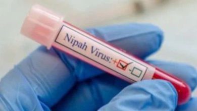 કેરળમાં સતત ફેલાઈ રહ્યો છે નિપાહ વાયરસનો ચેપ, જાણો લક્ષણ અને બચવાના ઉપાયો