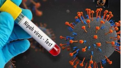 કેરળમાં નિપાહ વાયરસનો ફેલાવો વધ્યો, પાંચ જીલ્લામાં 571 લોકો કોન્ટેક્ટ લિસ્ટમાં