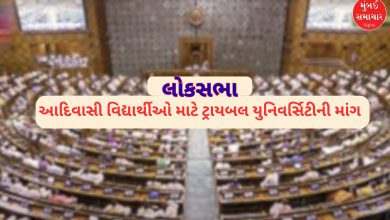 લોકસભાઃ તાપી જિલ્લામાં આદિવાસી વિદ્યાર્થીઓ માટે ટ્રાયબલ યુનિવર્સિટી સ્થાપવા કોણે માંગ કરી?