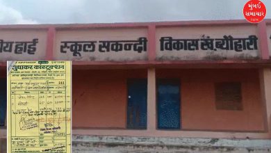 મધ્ય પ્રદેશમાં ભ્રષ્ટાચારે તો હદ વટાવી! 4 લિટર કલર માટે 233 મજૂર અને ₹1.07 લાખનું બિલ? વાંચો અહેવાલ