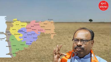 Maharashtra Land Division Act 2025