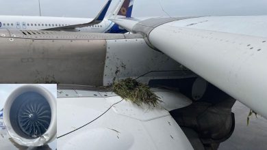 Major accident averted at Mumbai airport: Air India plane lands on runway, passengers safe