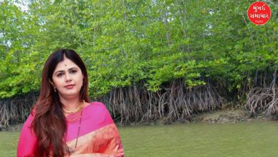 Mangroves destroyed in Andheri