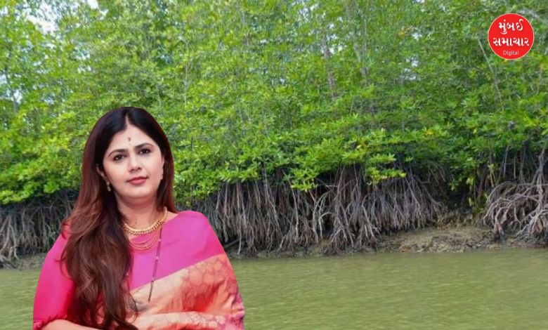 Mangroves destroyed in Andheri