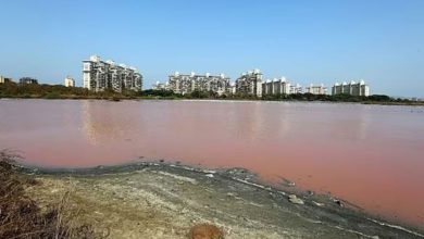 જળાશયોમાં ૫૦ ટકાથી વધુ પાણી: ગયા વર્ષે આ તારીખે માંડ ૮.૫૯ ટકા હતું