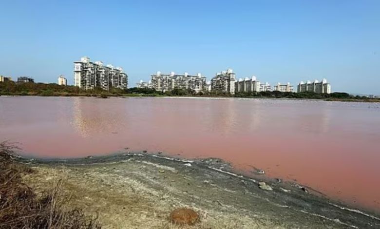 જળાશયોમાં ૫૦ ટકાથી વધુ પાણી: ગયા વર્ષે આ તારીખે માંડ ૮.૫૯ ટકા હતું