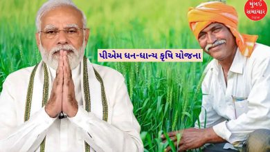 ખેડૂતો અને હરિયાળા ખેતરોનું પ્રતીકાત્મક ચિત્ર.