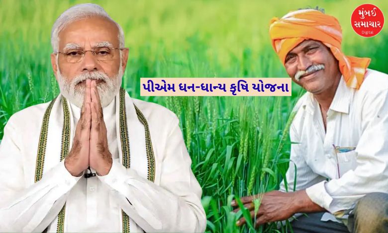 ખેડૂતો અને હરિયાળા ખેતરોનું પ્રતીકાત્મક ચિત્ર.
