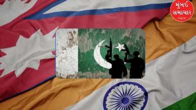 Pakistani terrorists may attack India: Nepal warns