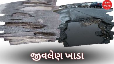 ગુજરાતમાં ખાડાવાળા રસ્તાઓ બન્યા 'જીવલેણ': દર મહિને 80ના મોત