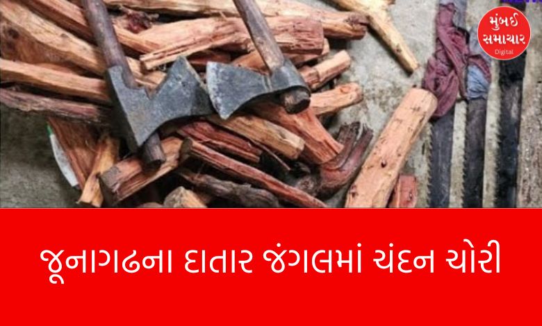 Pushpa gang active in Datar forest of Junagadh! Sandalwood smugglers fled when forest officials arrived