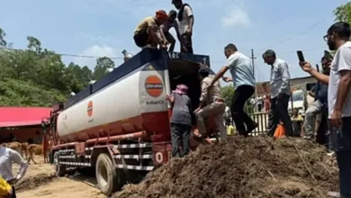 Pushpa style cow smuggling caught in Himachal
