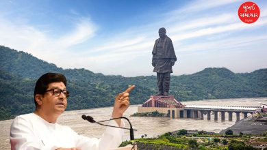 Raj Thackeray's controversial statement on Sardar Patel
