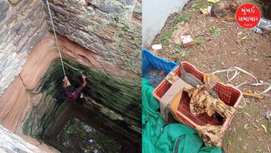 બિલાડીના બચ્ચાને કૂવામાંથી કાઢવા જીવનું જોખમ લીધું, આખા મહોલ્લાએ બતાવ્યો પ્રાણીપ્રેમ