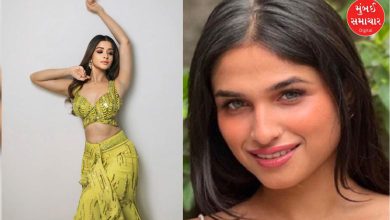 Rs. 4.5 lakh stolen from Bigg Boss 18 contestant Kashish Kapoor's house, burglar accused of theft