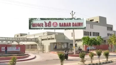 Saber Dairy opposes load shedding
