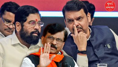 Sanjay Raut's statement on the language controversy