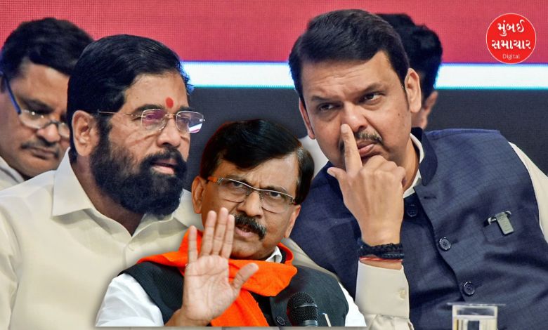 Sanjay Raut's statement on the language controversy