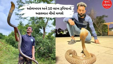 સર્પમિત્ર સાપને પકડીને