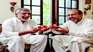 Satire: Two Pakistanis threw a victory party?