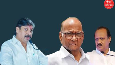 NCPના નુકસાન માટે કોણ જવાબદાર? શરદ પવાર જૂથના સાંસદનો અજિત પવાર પર પ્રહાર