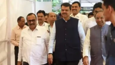 Special Public Safety Bill Fadnavis