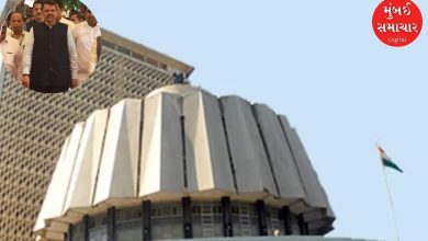 Special Security Bill to curb left-wing extremism approved in Legislative Council